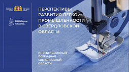 Перспективы развития легкой промышленности в Свердловской области - ознакомительный фрагмент презентации - 1